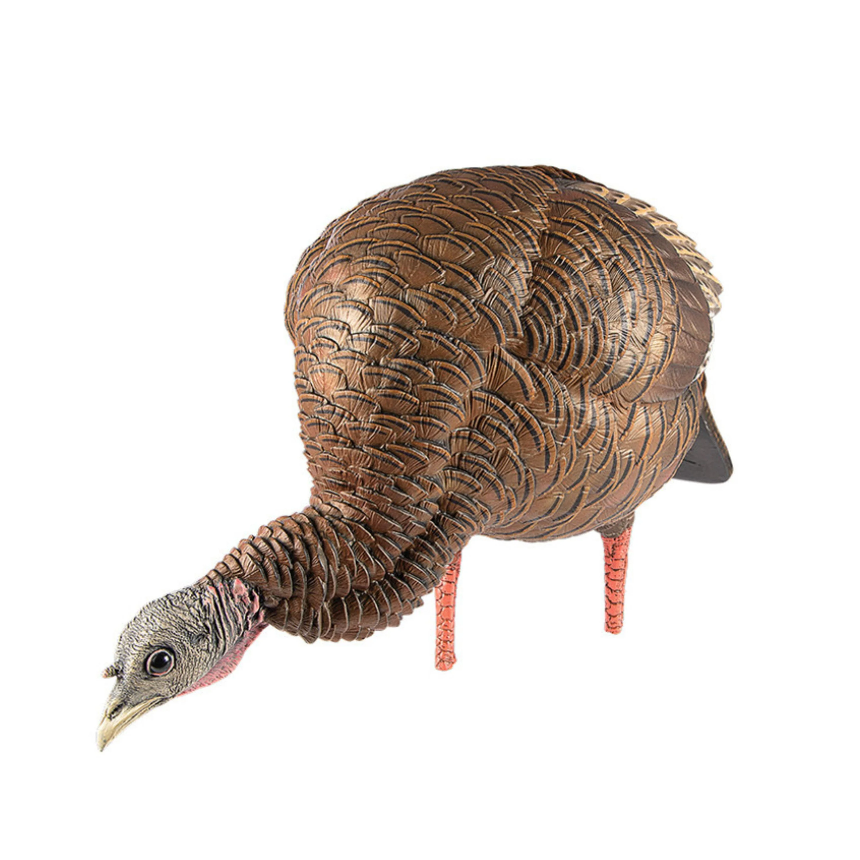 Appelant "HDR Feeding Hen" - Image 3