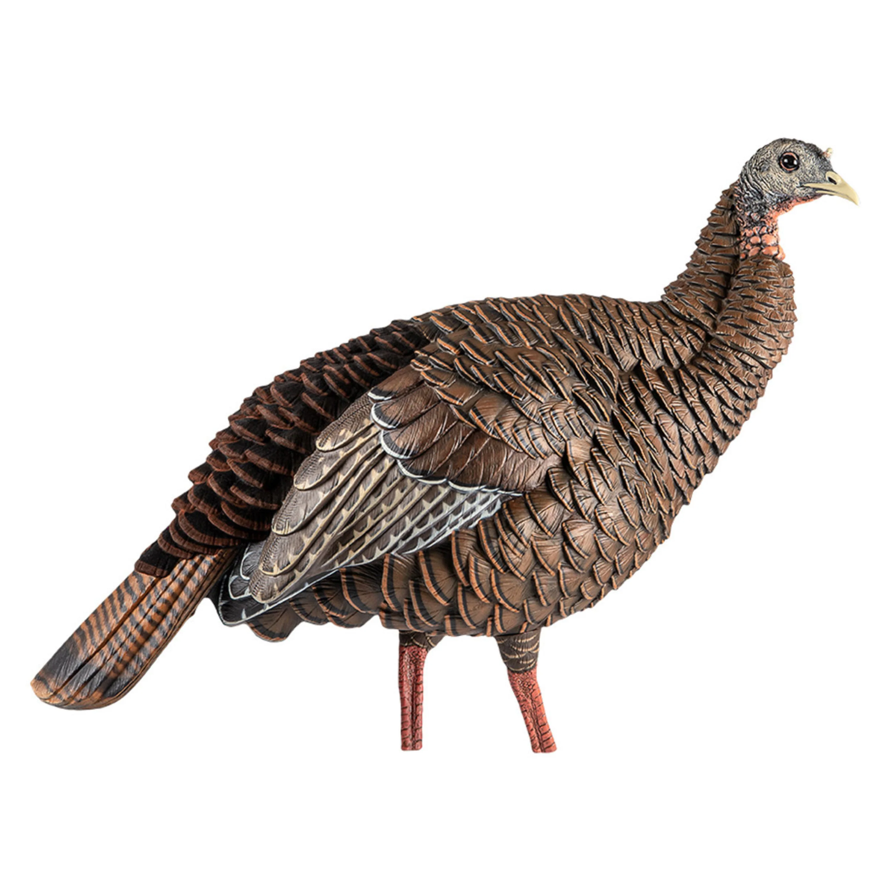 Appelant "HDR Hen" - Image 3