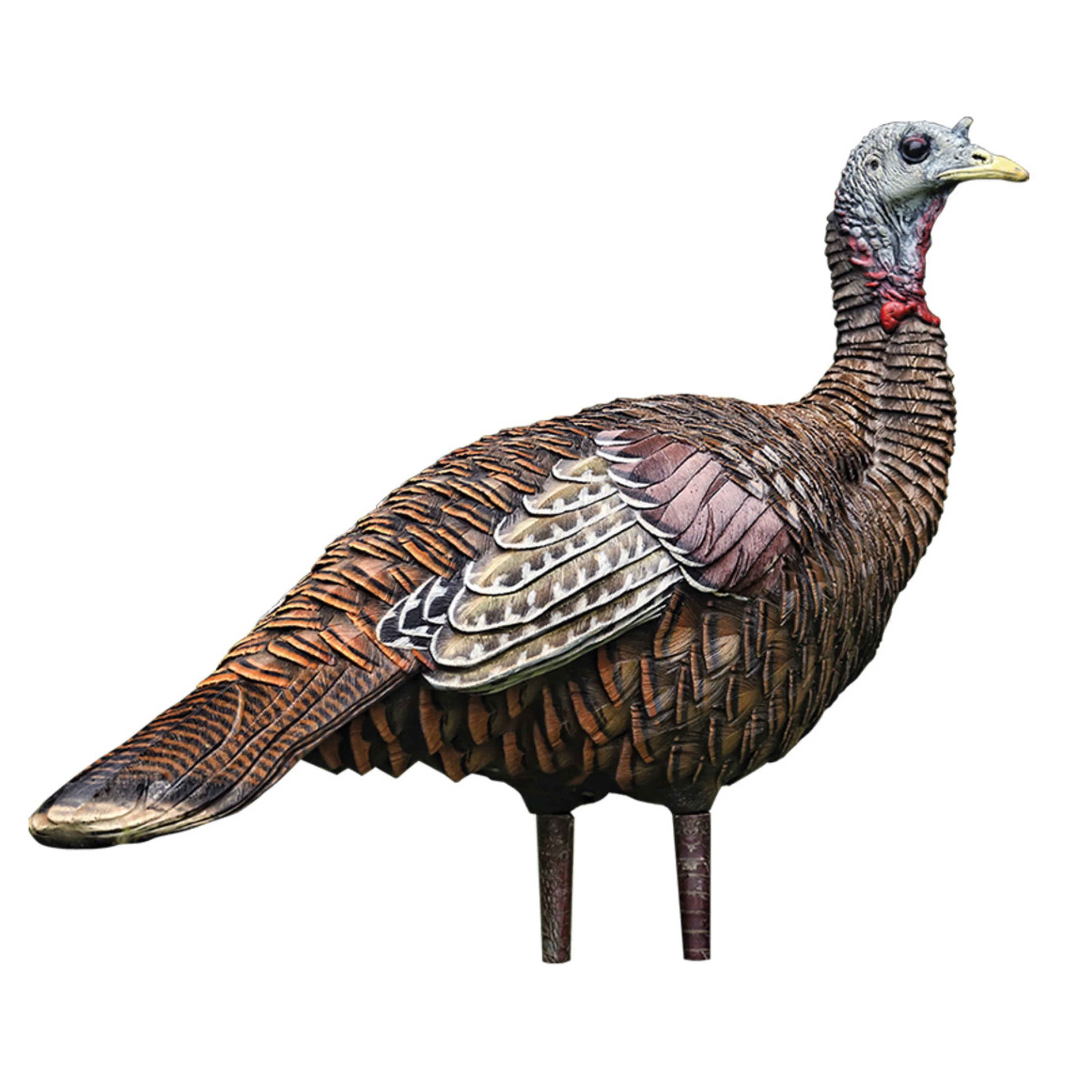 Appelant "LCD Lookout Hen" - Image 3
