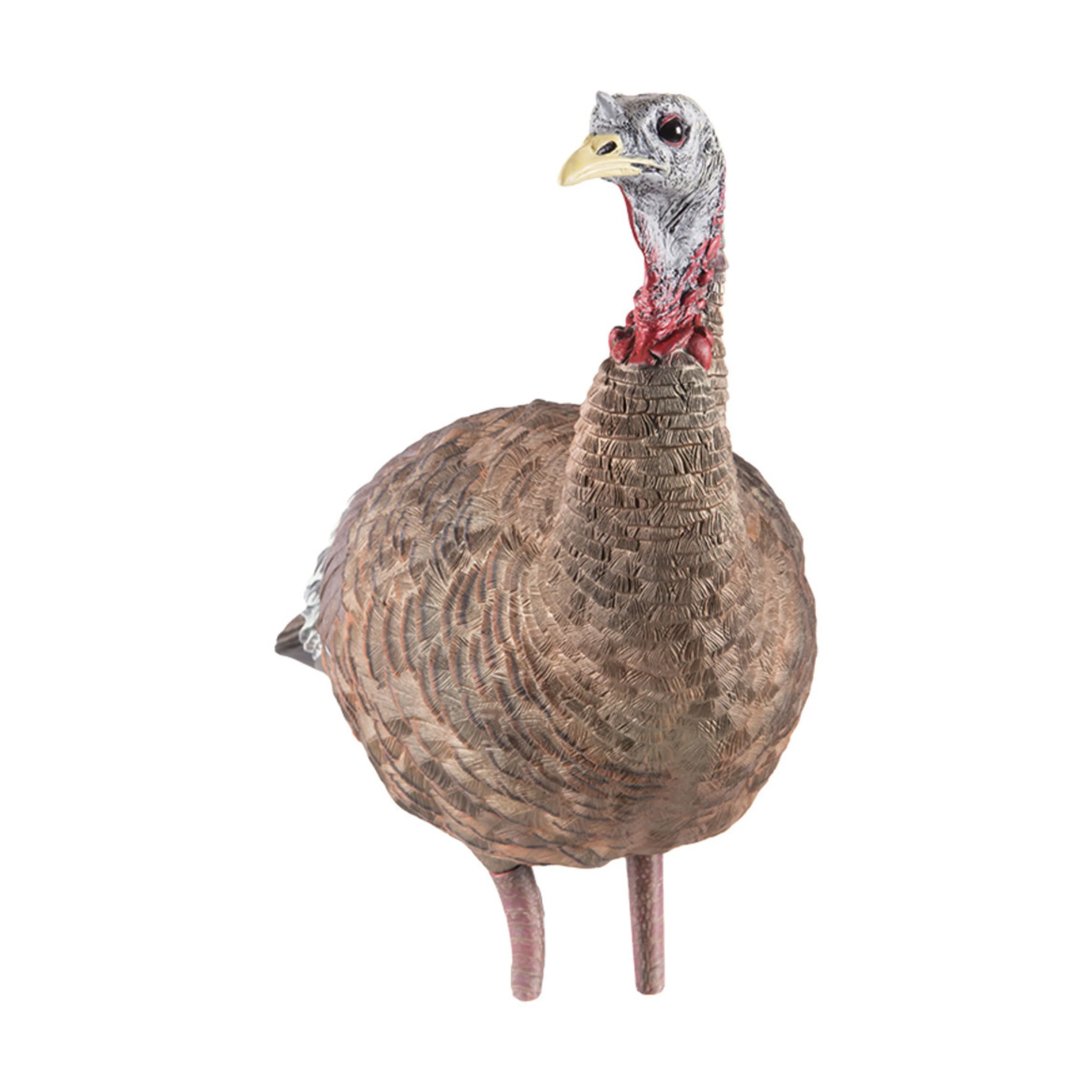 Appelant "LCD Lookout Hen" - Image 4