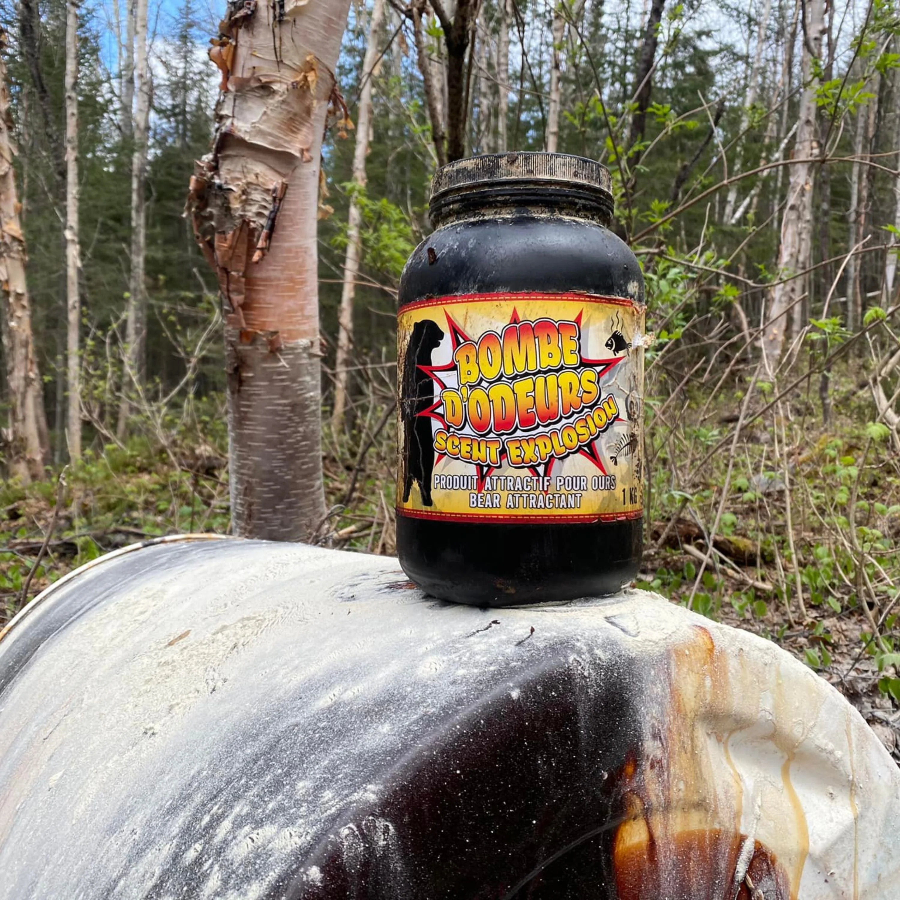 Attractant à ours "Bombe d’odeurs" - 1 kg - Image 2