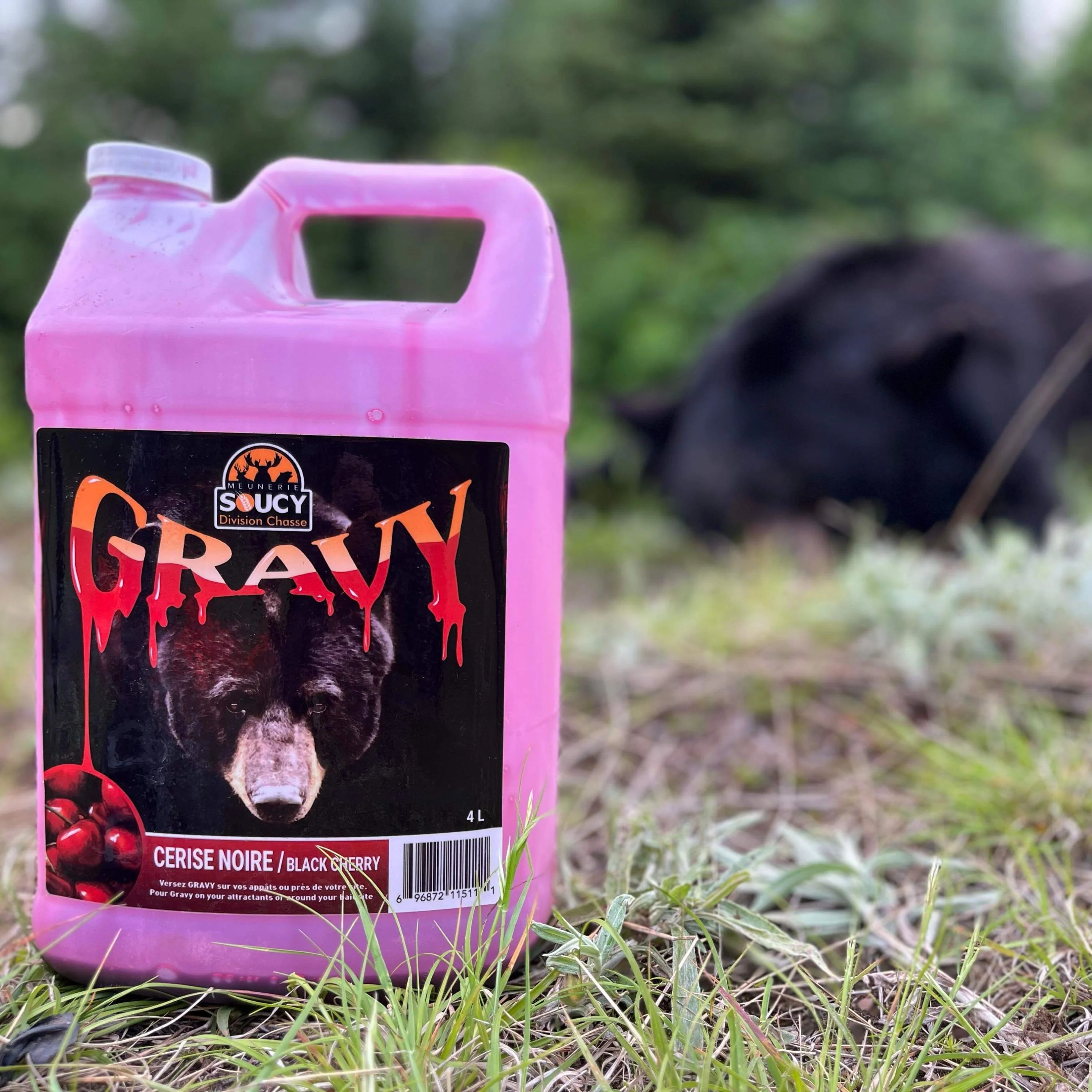 Attractif pour ours "Gravy" aux cerises noires - 4 L - Image 2