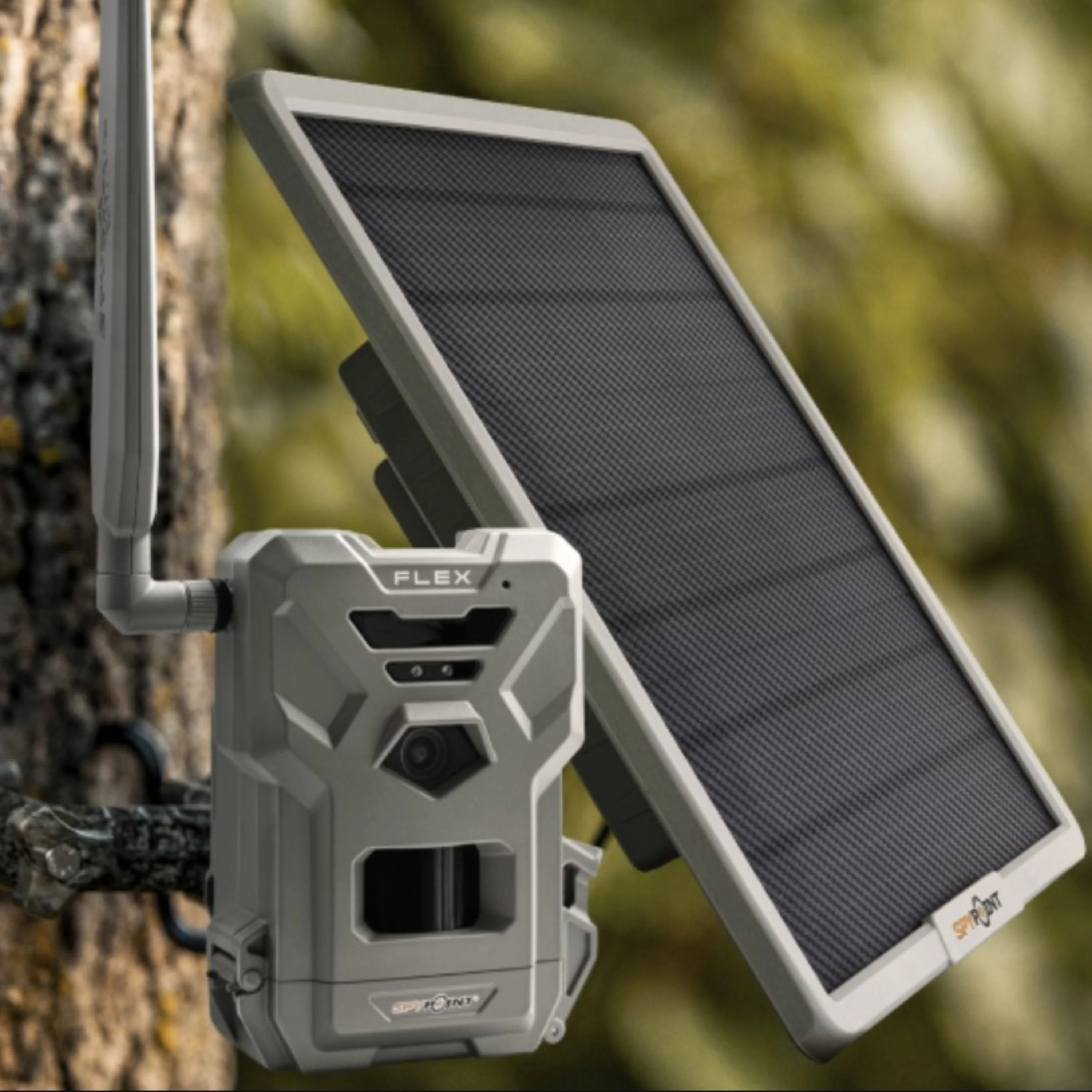 Panneau solaire - 10 W - Image 2